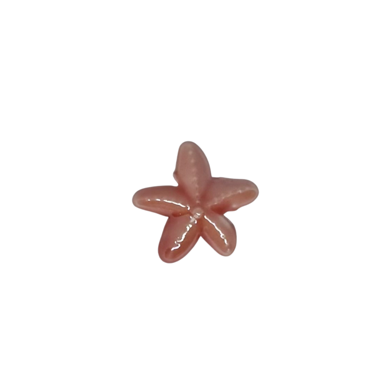 Charm étoile de mer