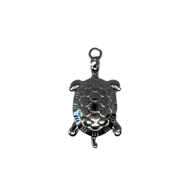 Charm tortue