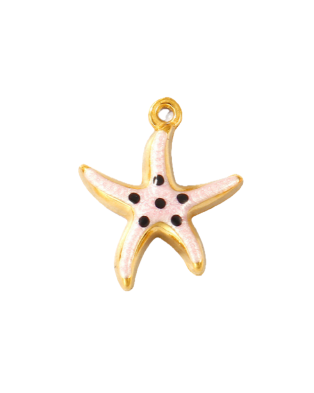 Charm étoile de mer