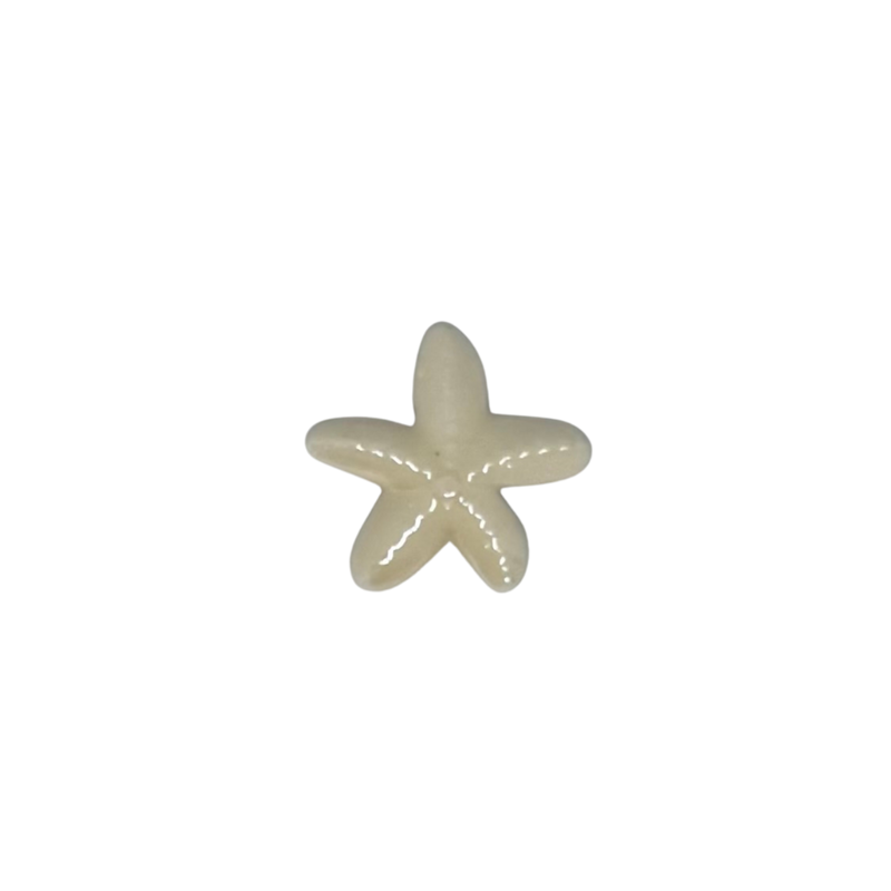 Charm étoile de mer