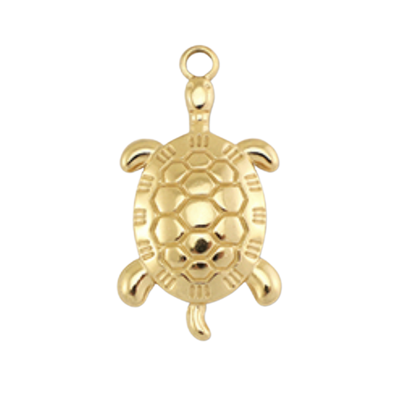 Charm tortue