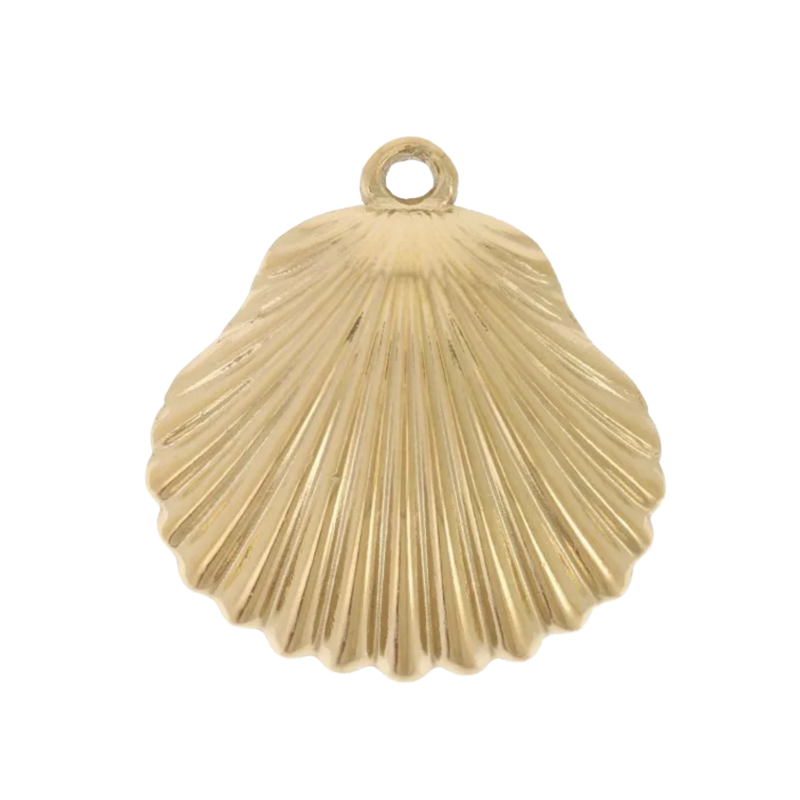 Charm coquille