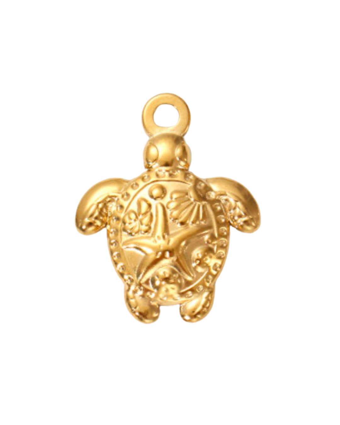 Charm tortue