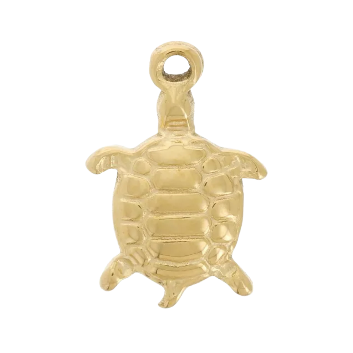 Charm tortue