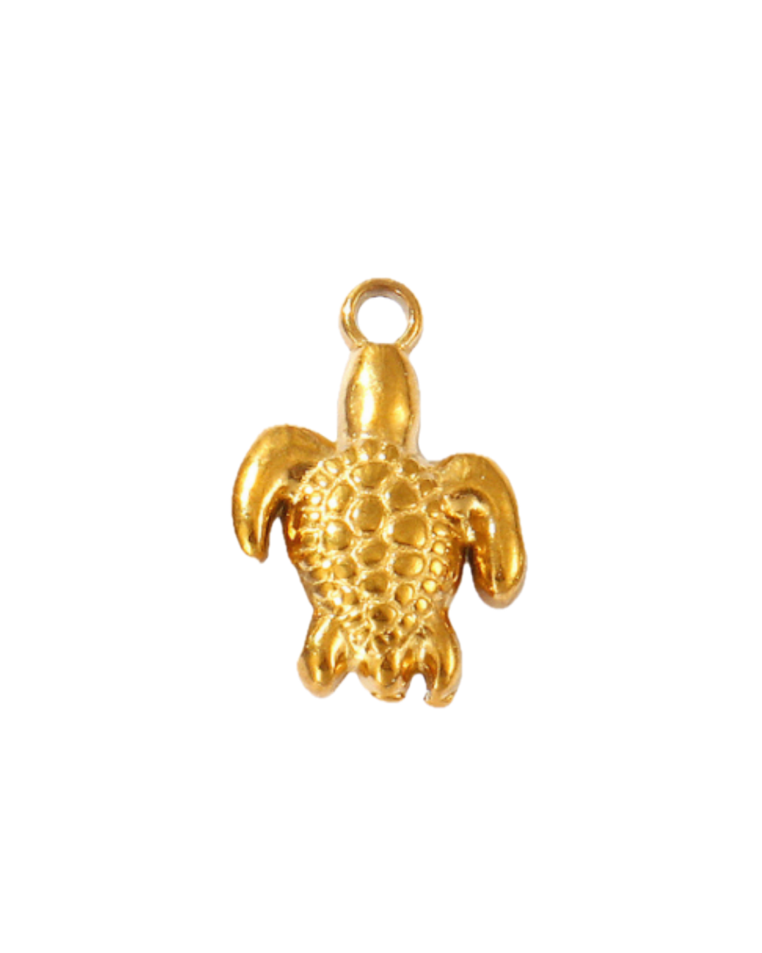Charm tortue