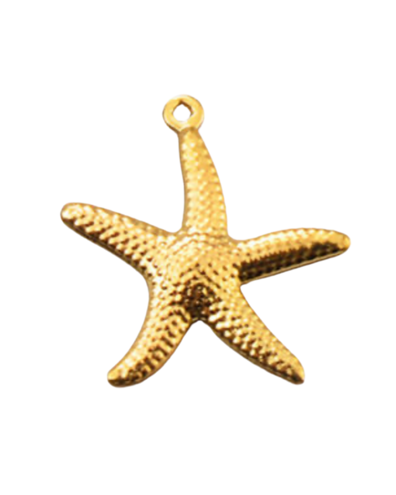 Charm étoile de mer
