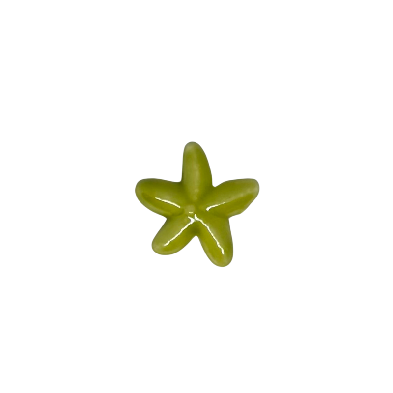 Charm étoile de mer