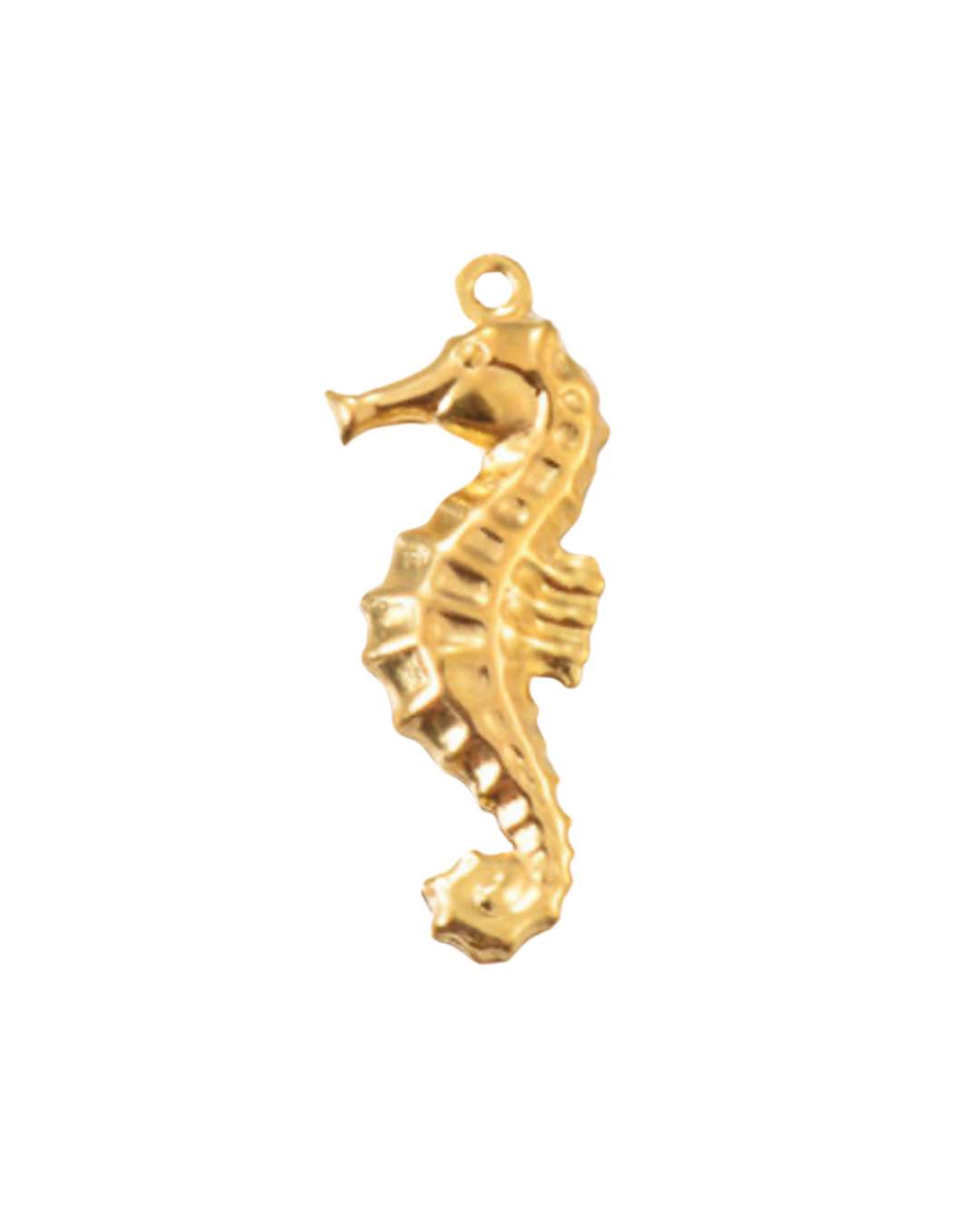 Charm hippocampe