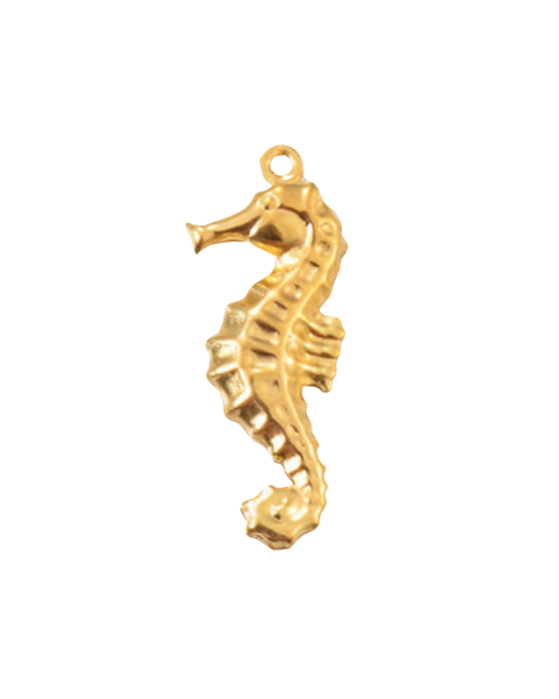 Charm hippocampe