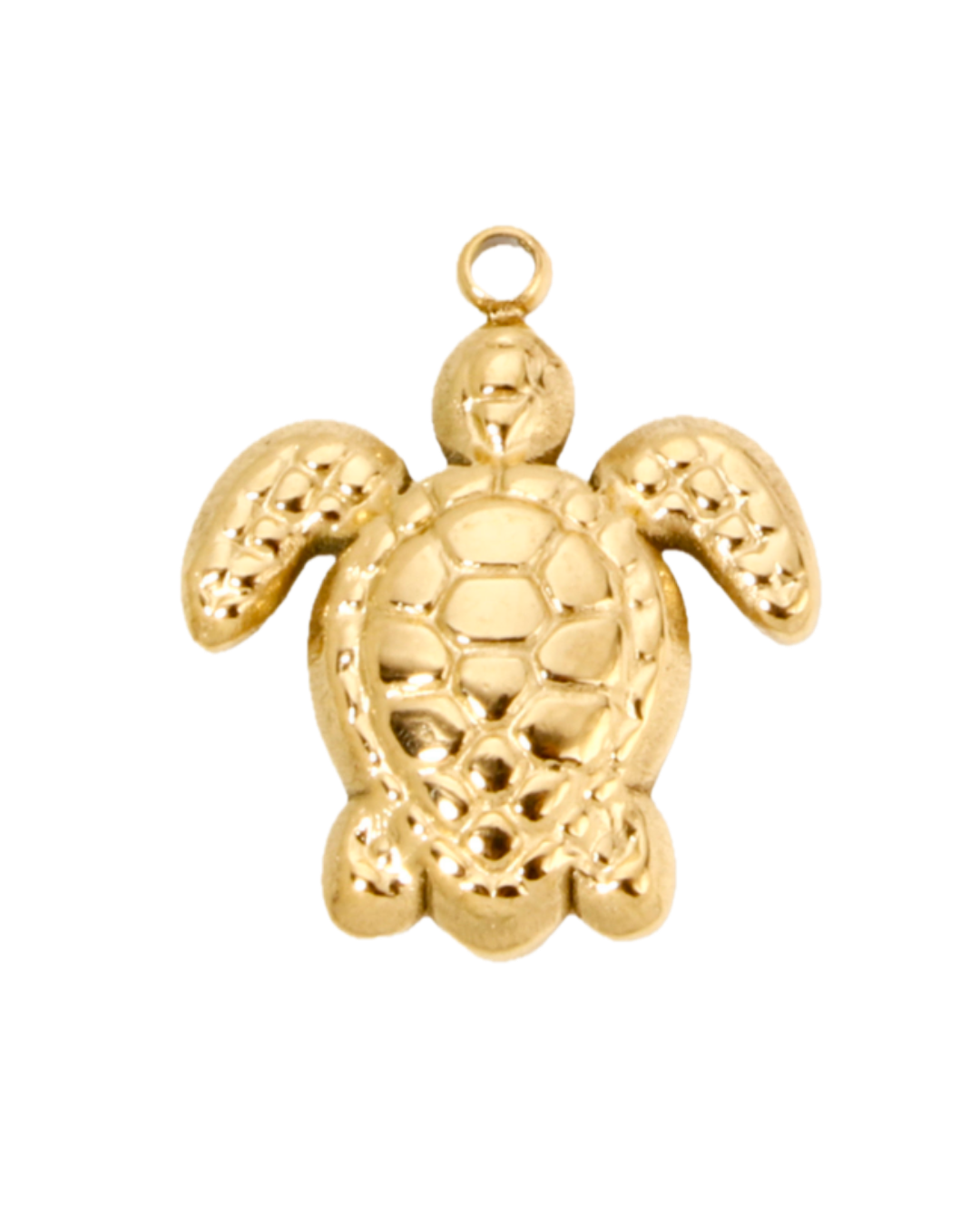 Charm tortue