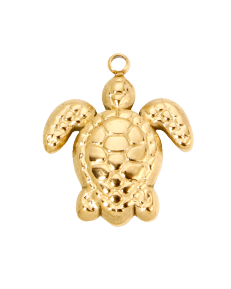 Charm tortue