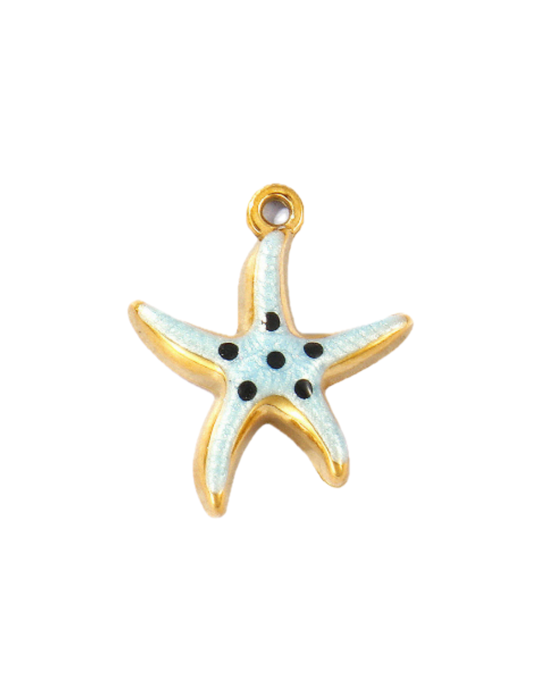 Charm étoile de mer