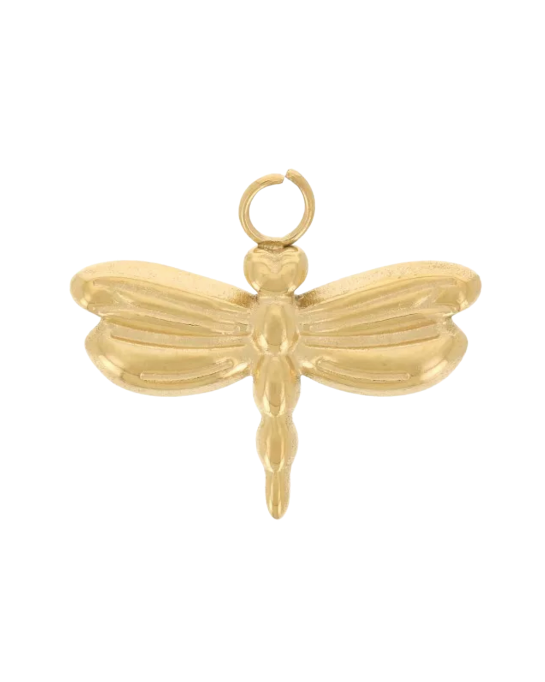 Charm libellule
