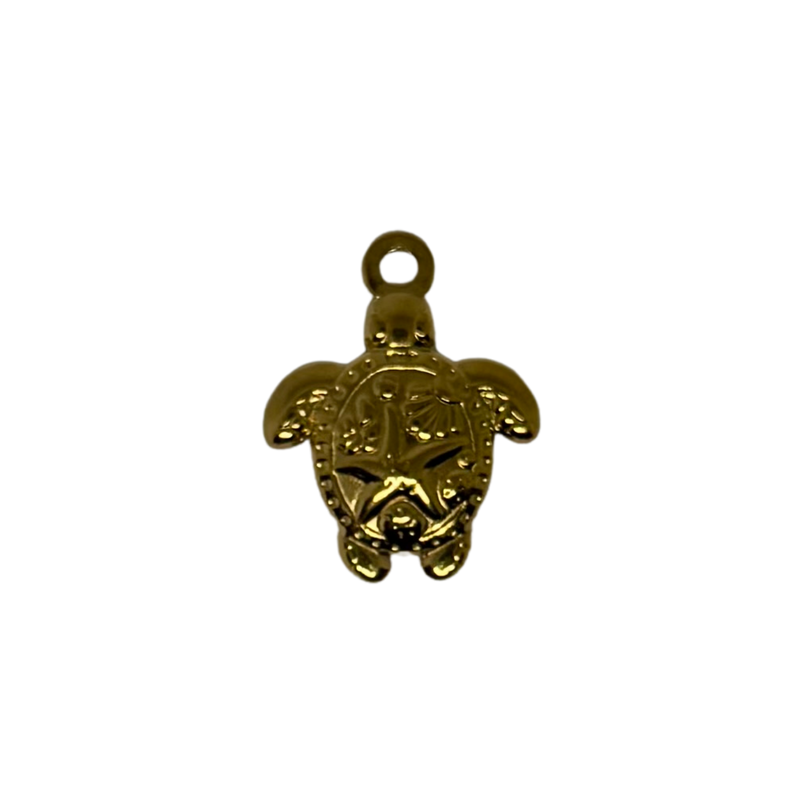 Charm tortue