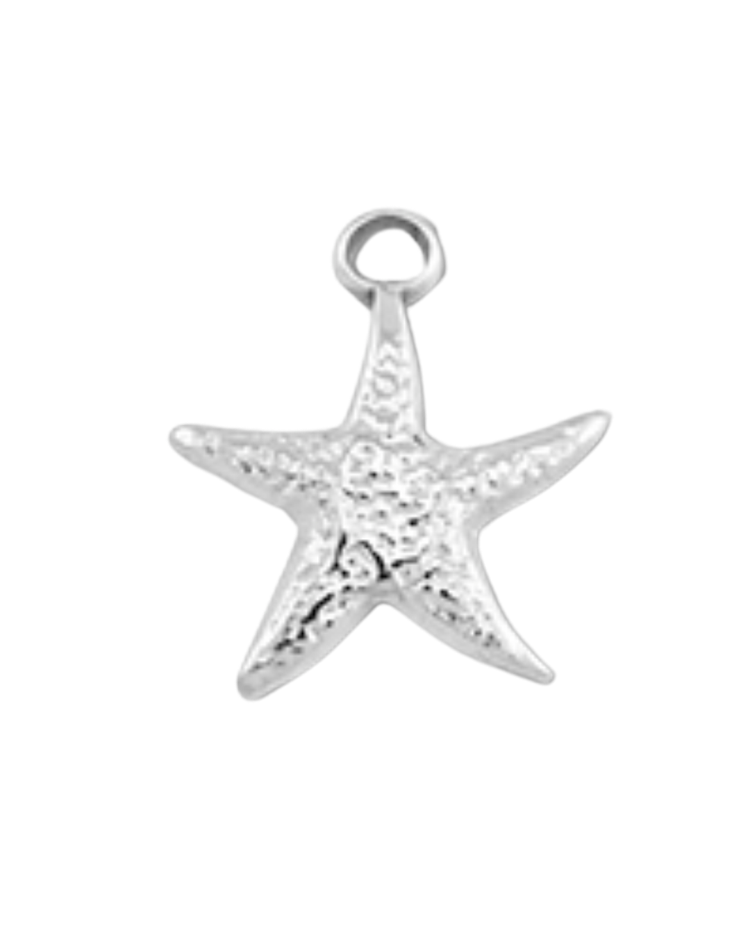 Charm étoile de mer