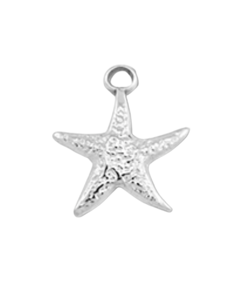 Charm étoile de mer