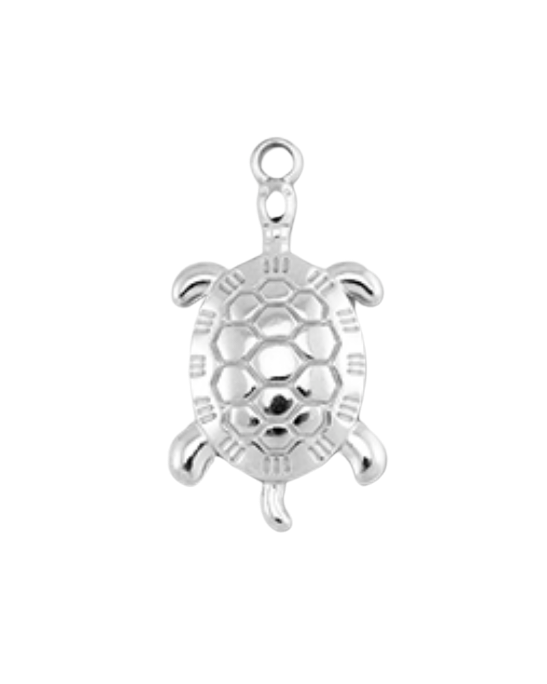 Charm tortue