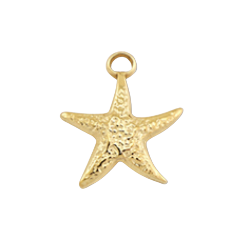 Charm étoile de mer