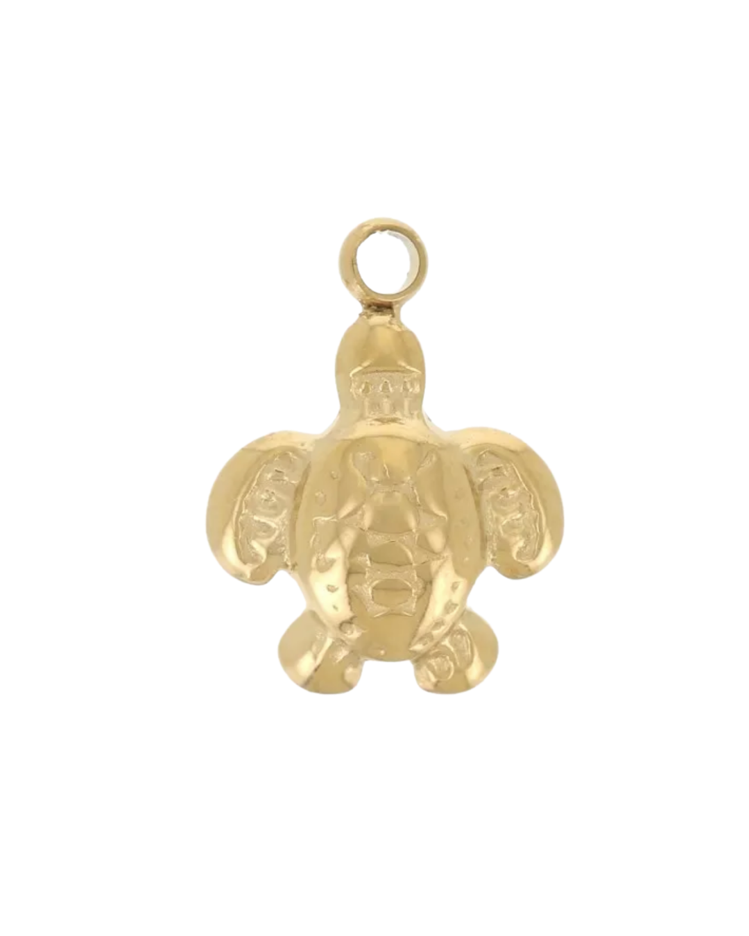 Charm tortue