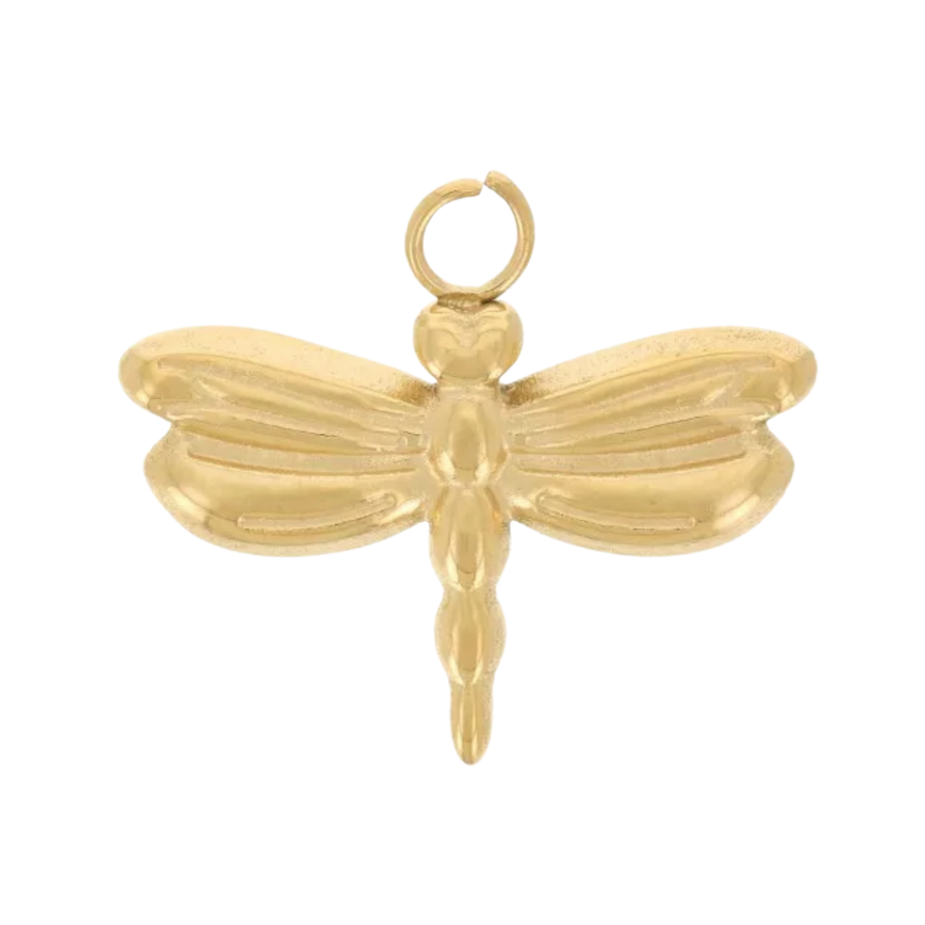 Charm libellule