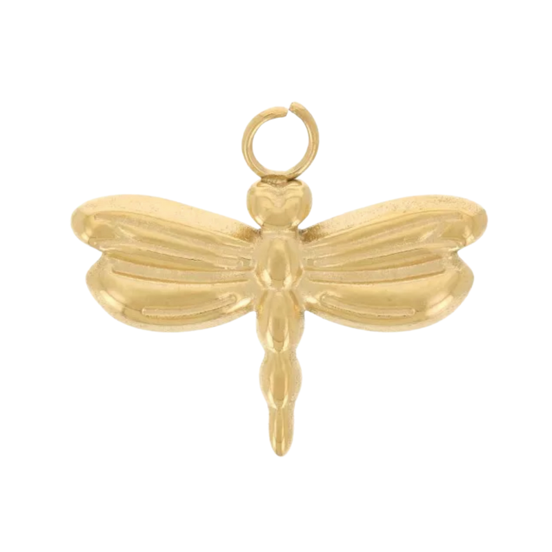 Charm libellule