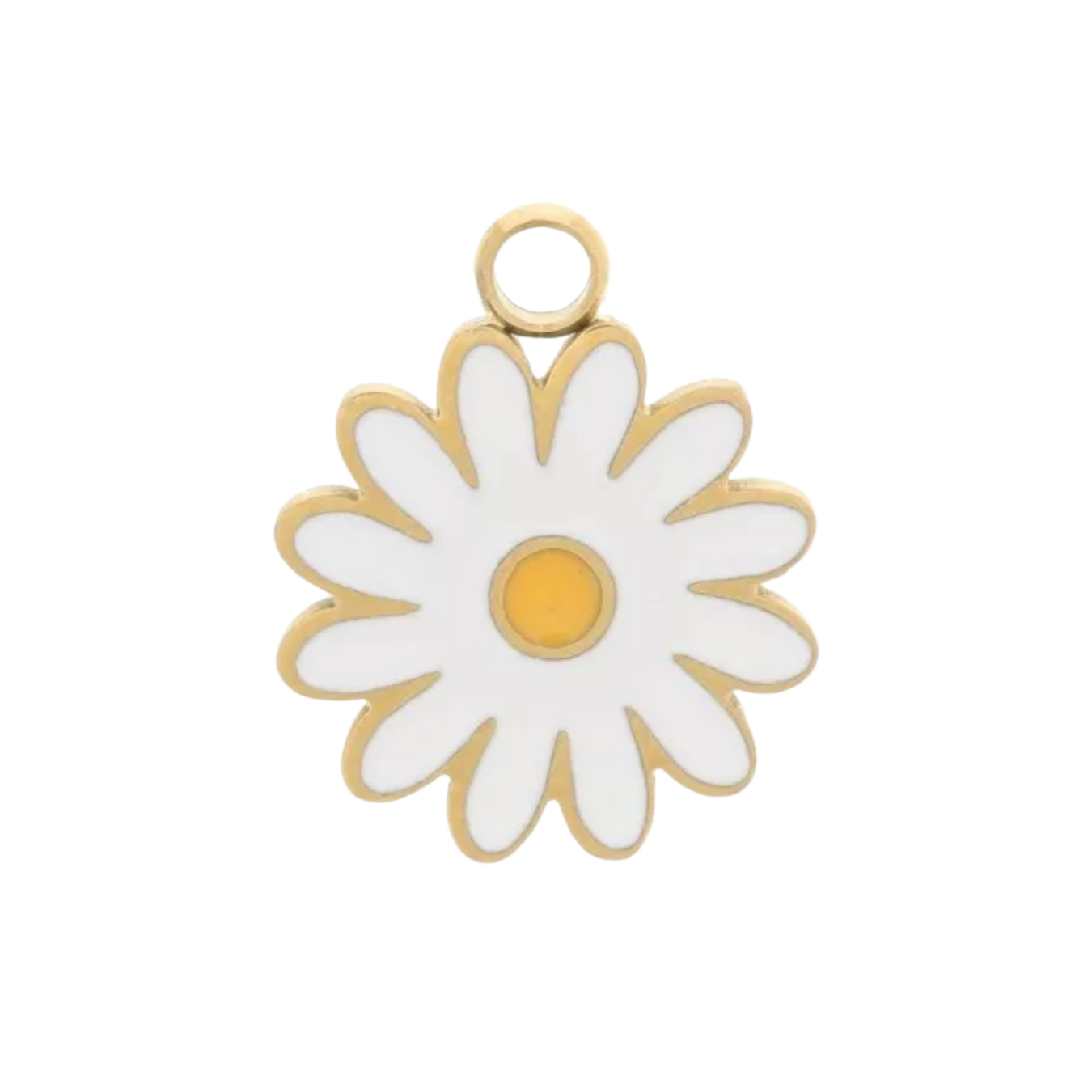 Charm marguerite