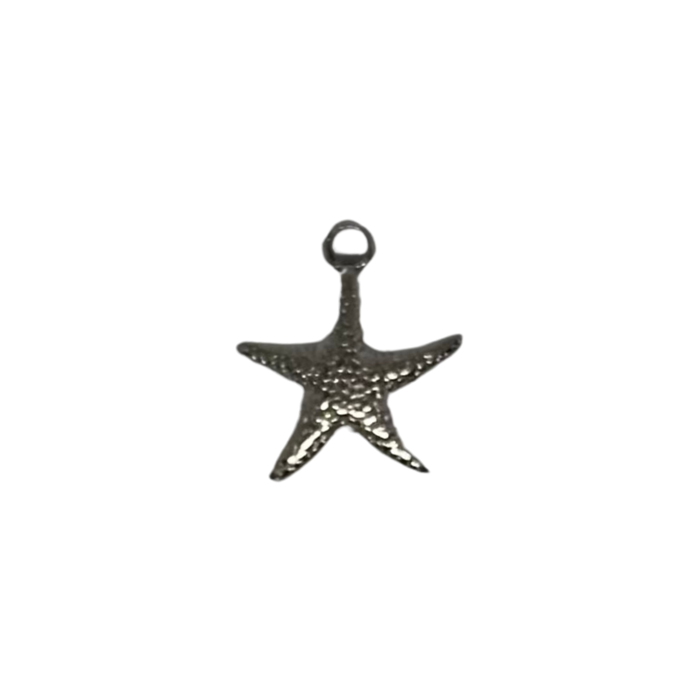 Charm étoile de mer