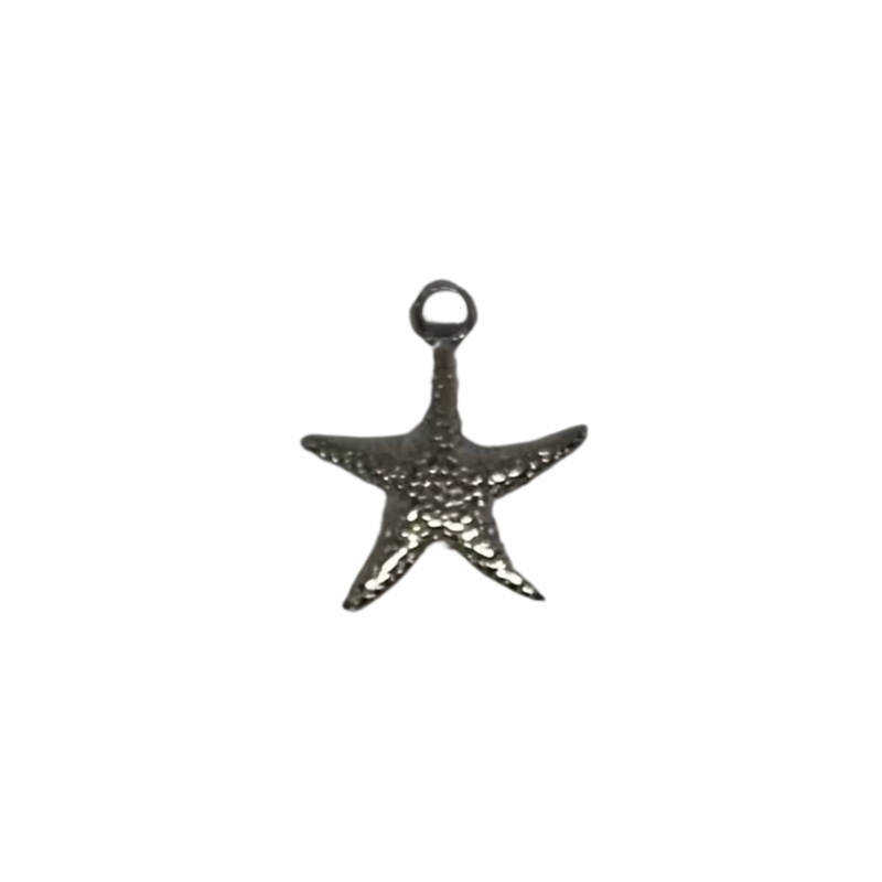 Charm étoile de mer