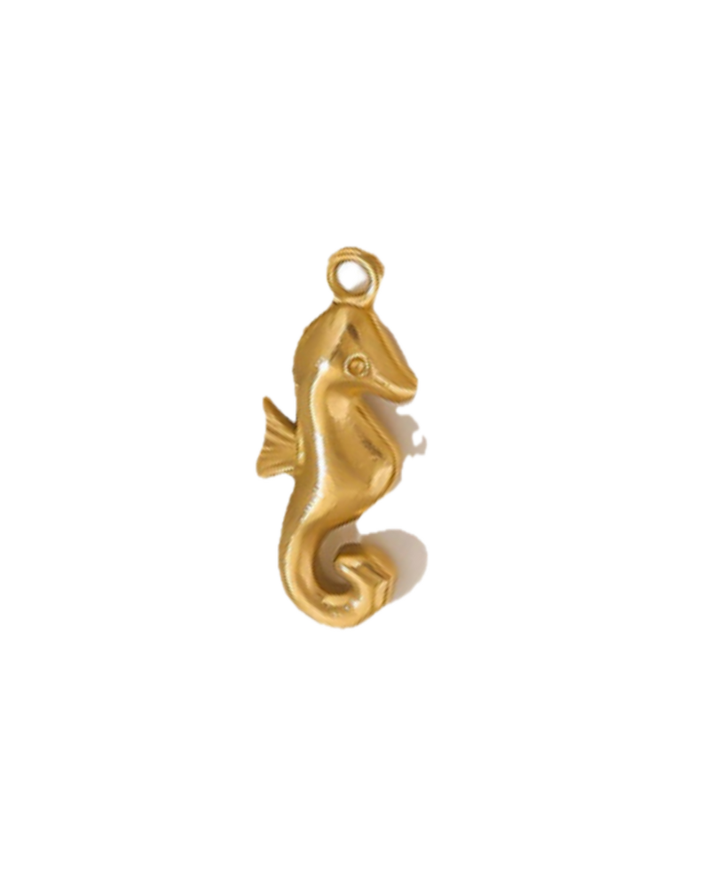 Charm hippocampe