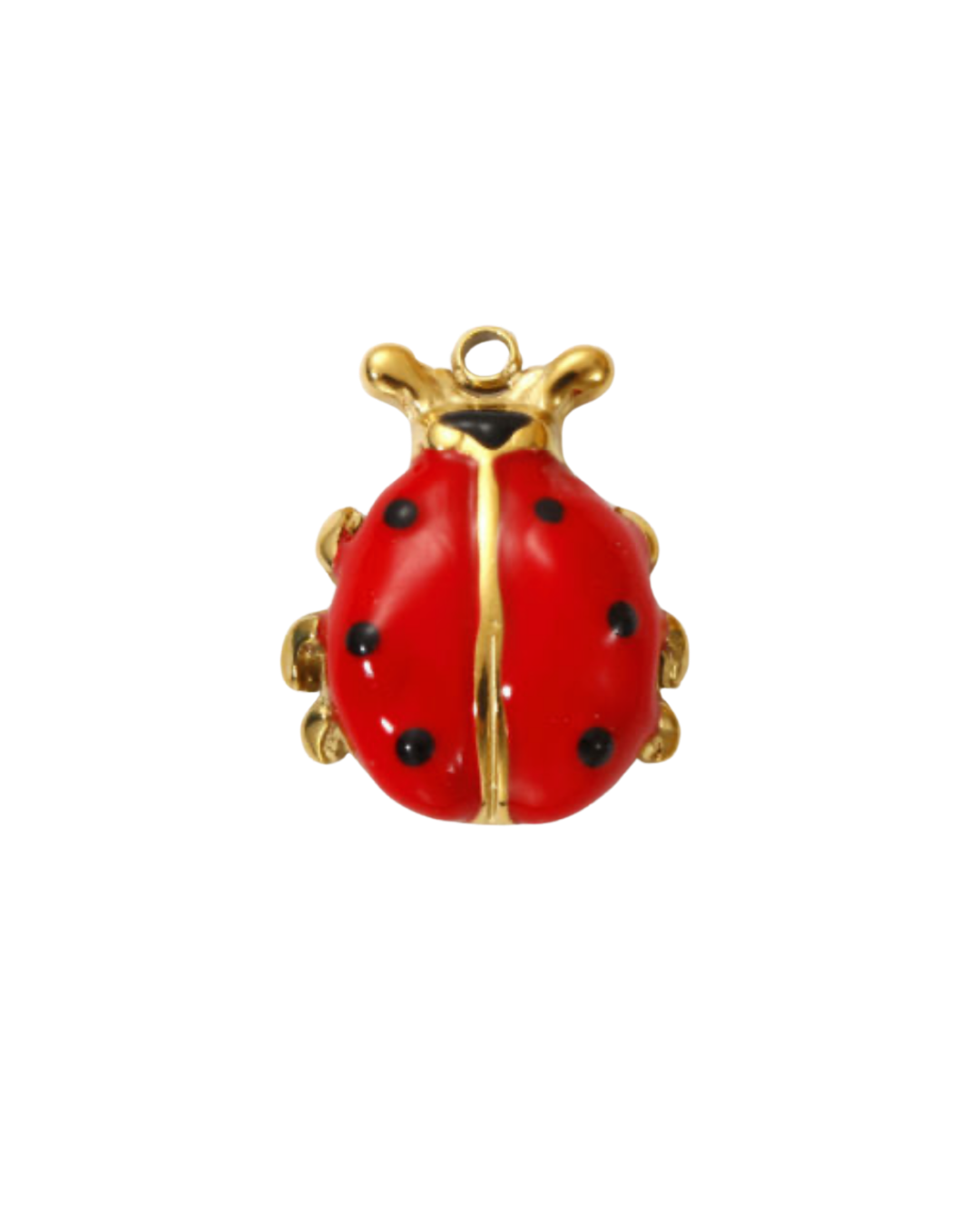 Charm coccinelle