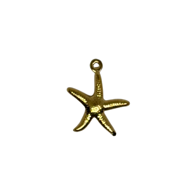 Charm étoile de mer
