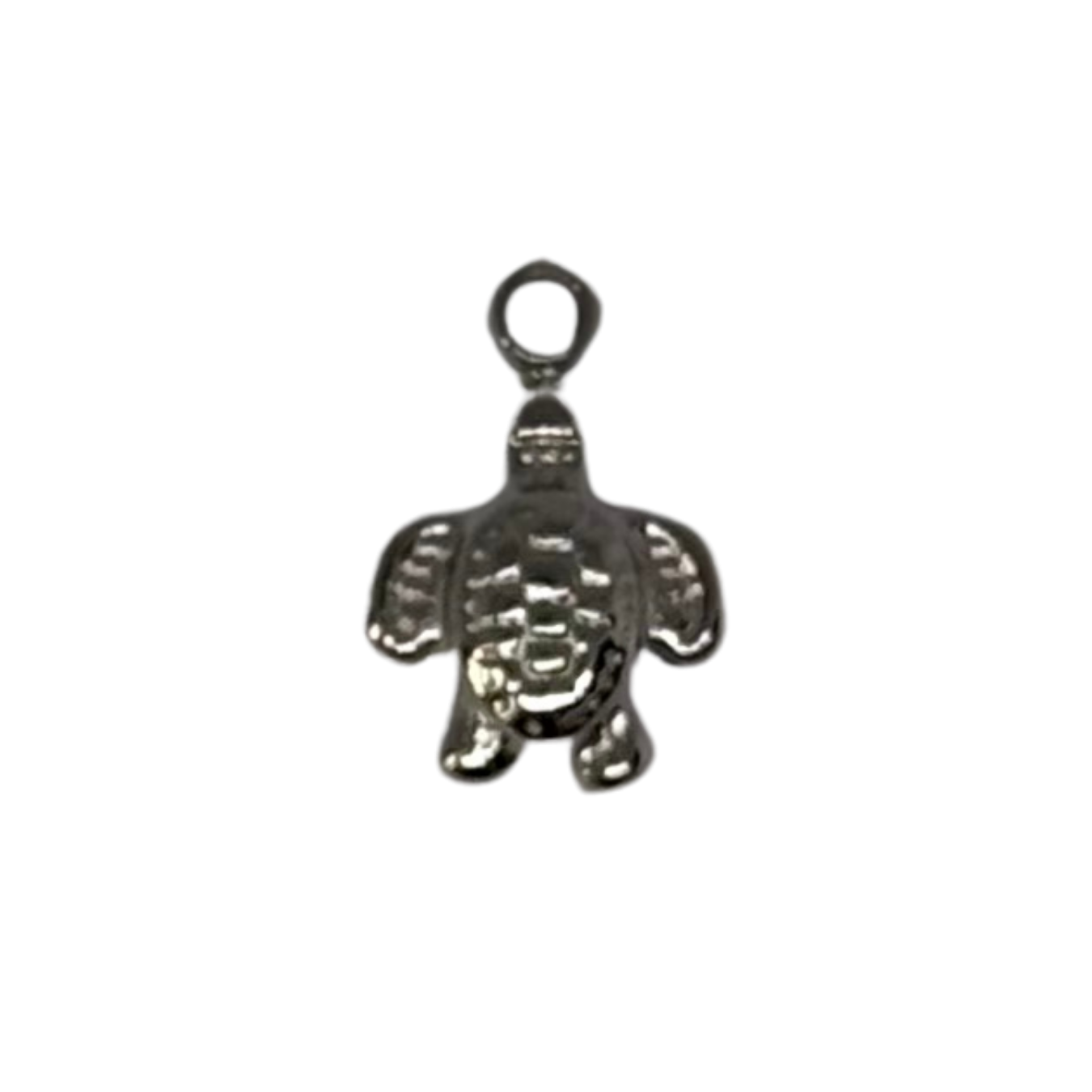 Charm tortue