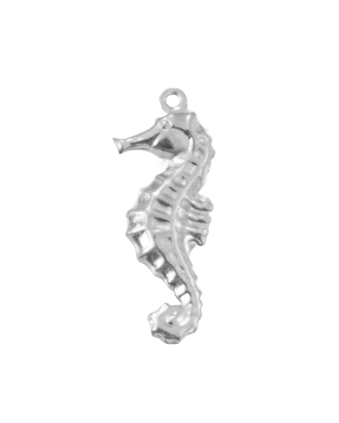 Charm hippocampe