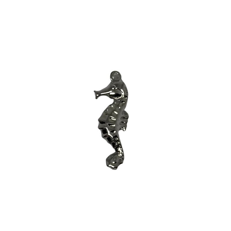 Charm hippocampe