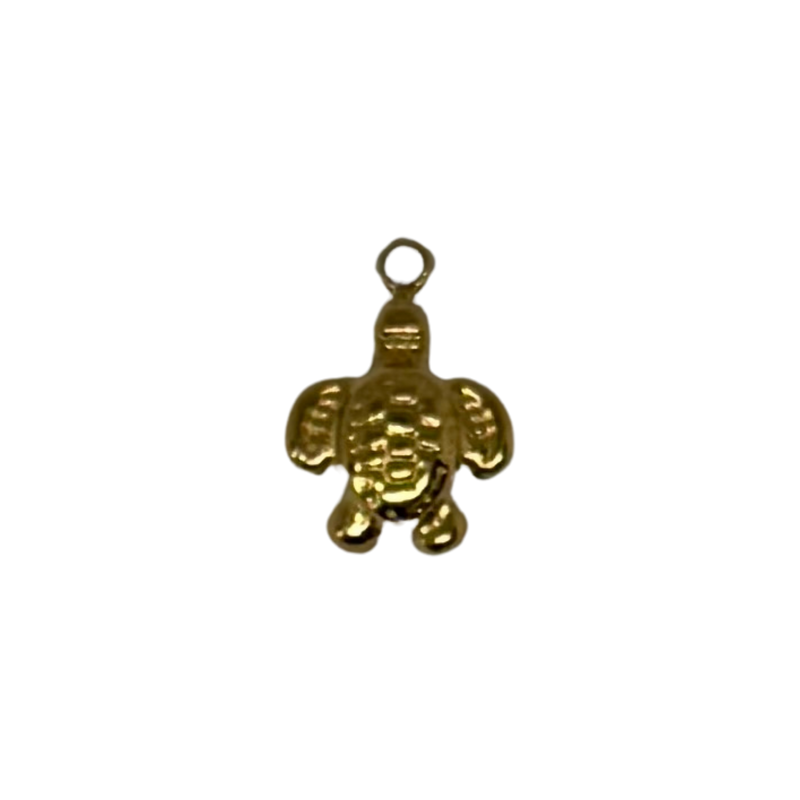 Charm tortue