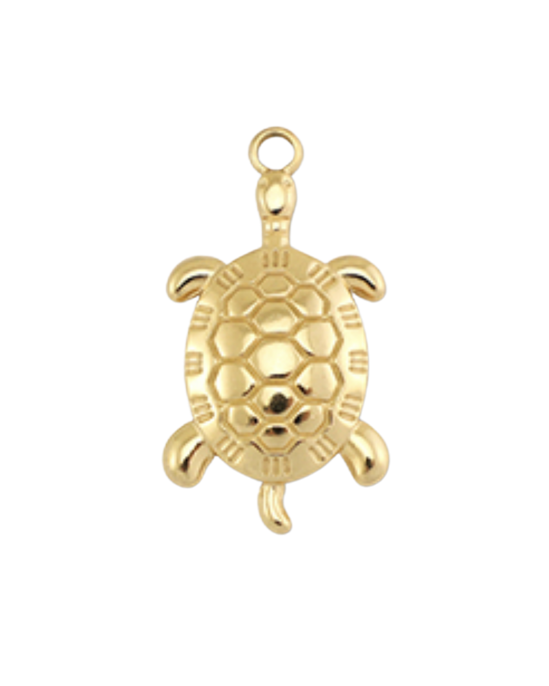 Charm tortue