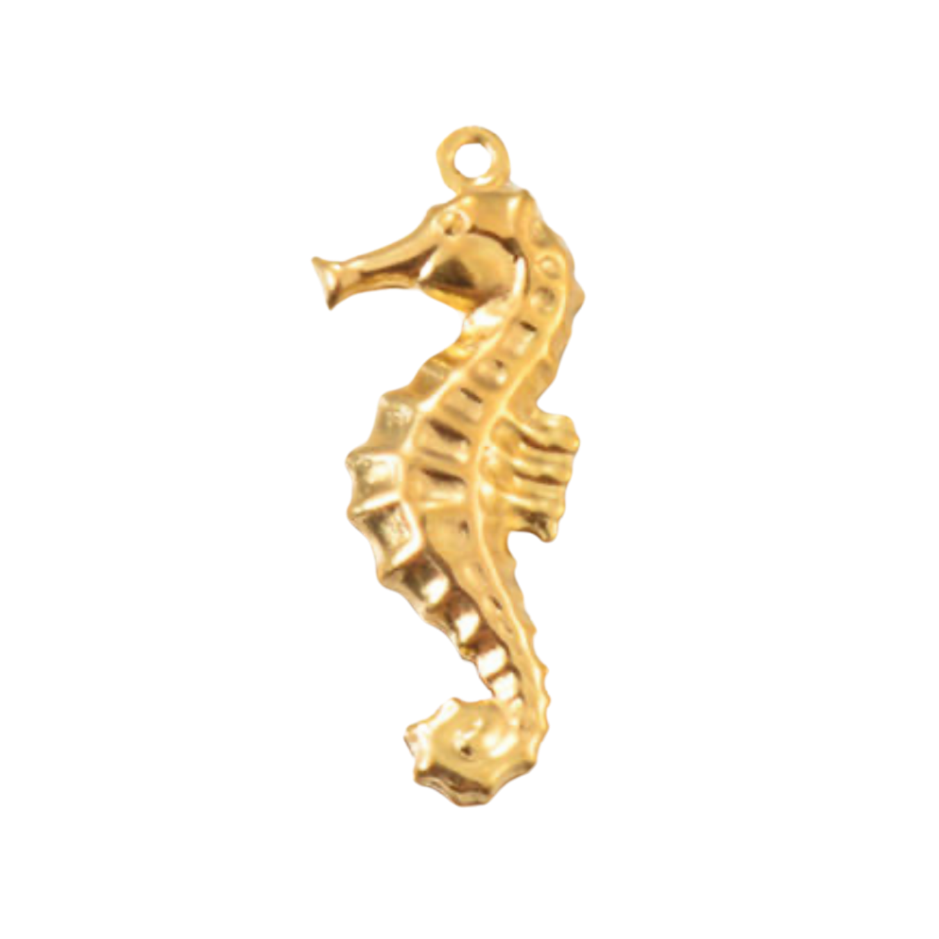 Charm hippocampe