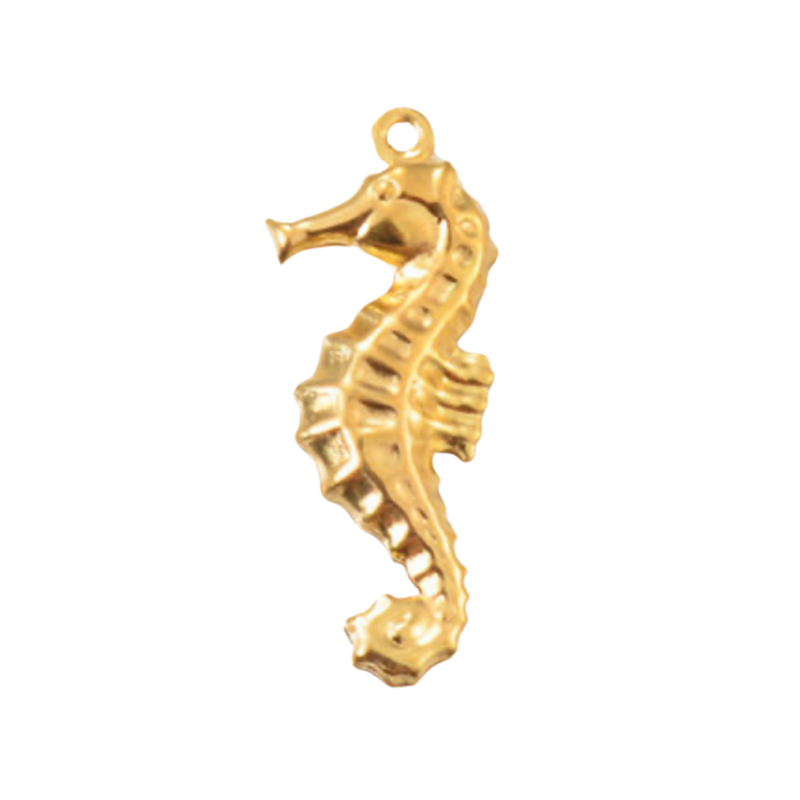 Charm hippocampe