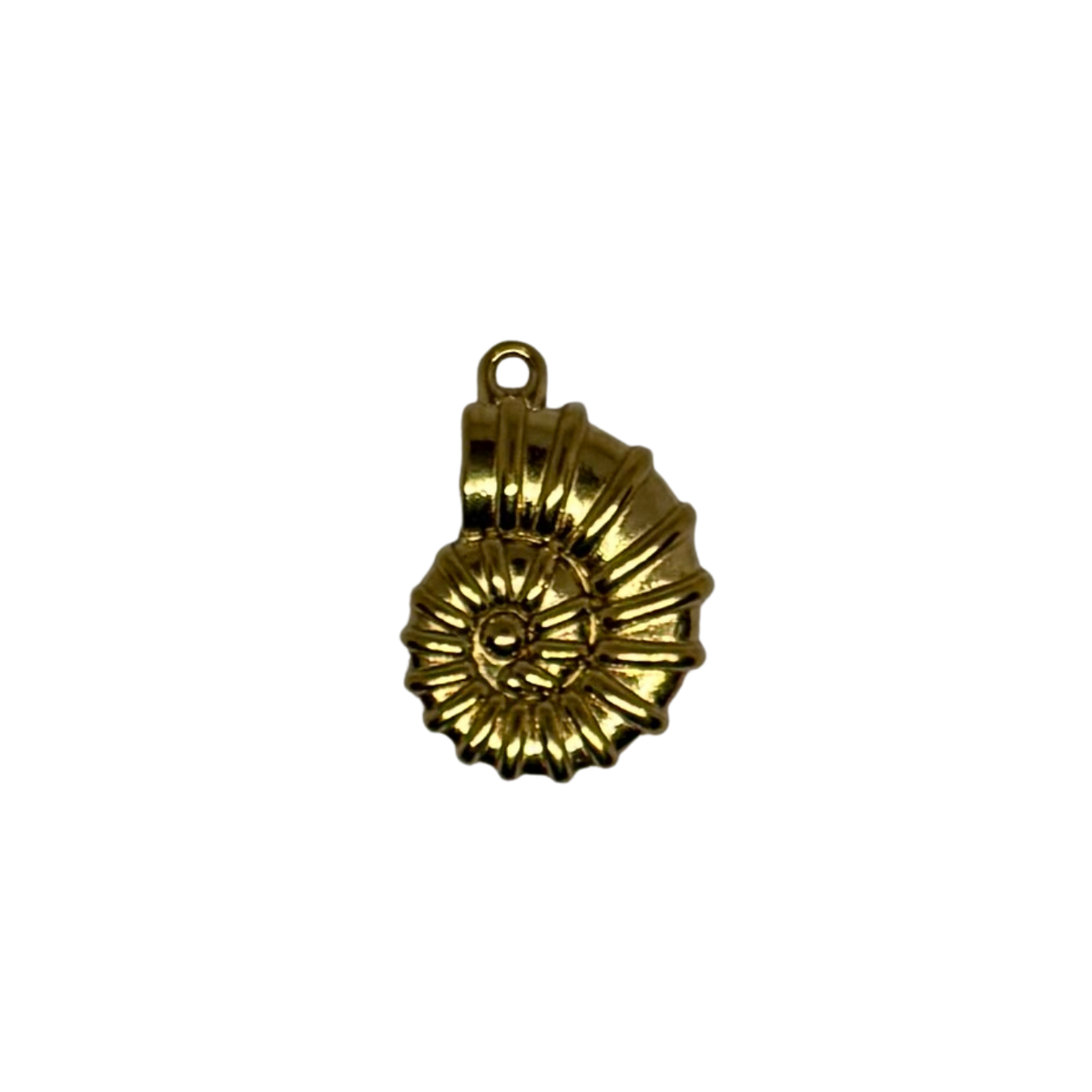 Charm coquille