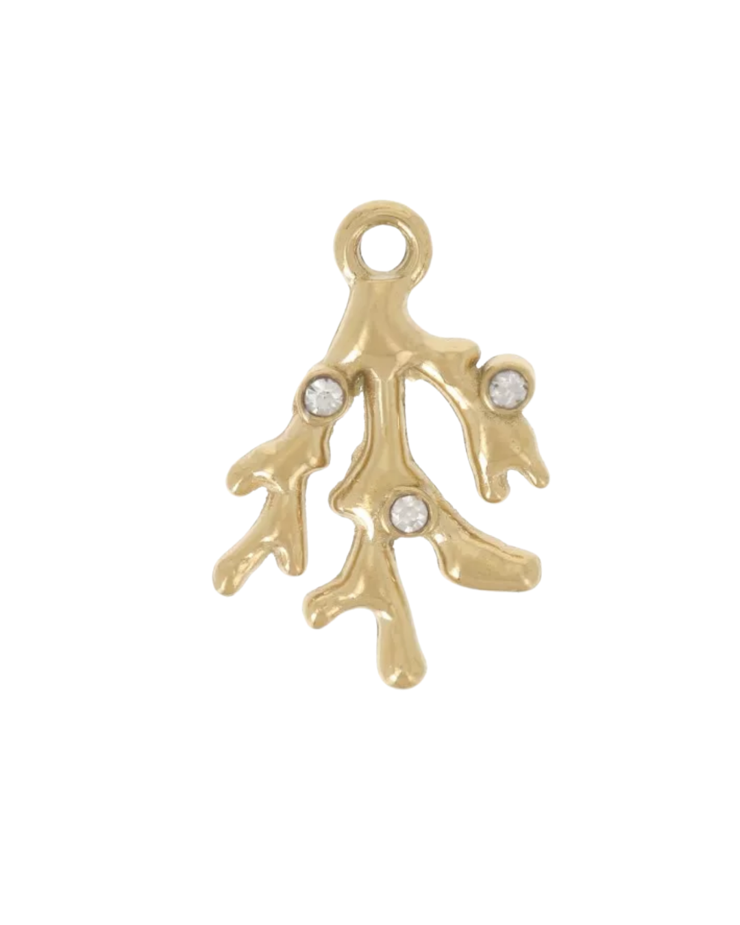 Charm corail