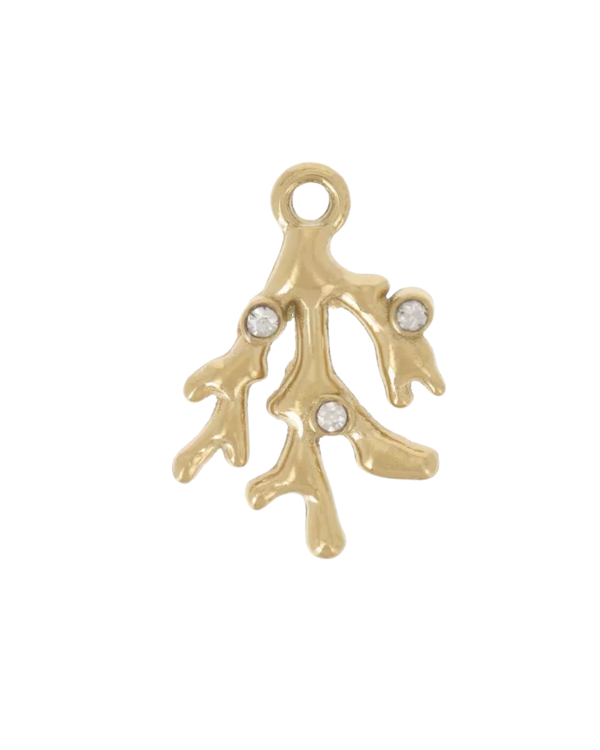 Charm corail
