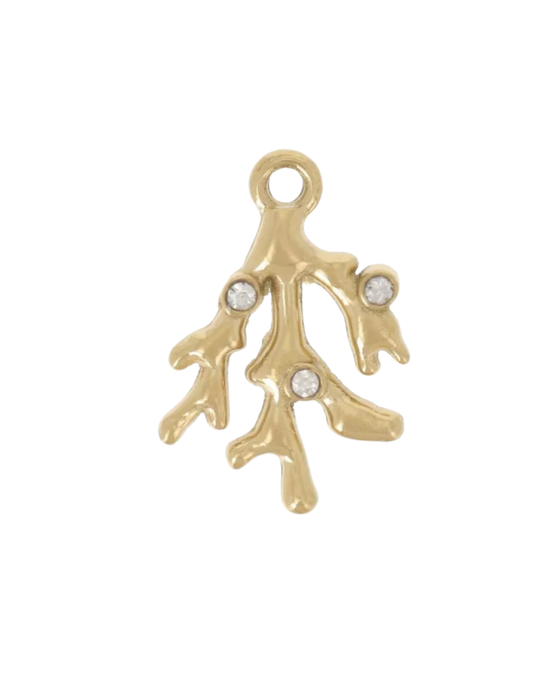 Charm corail