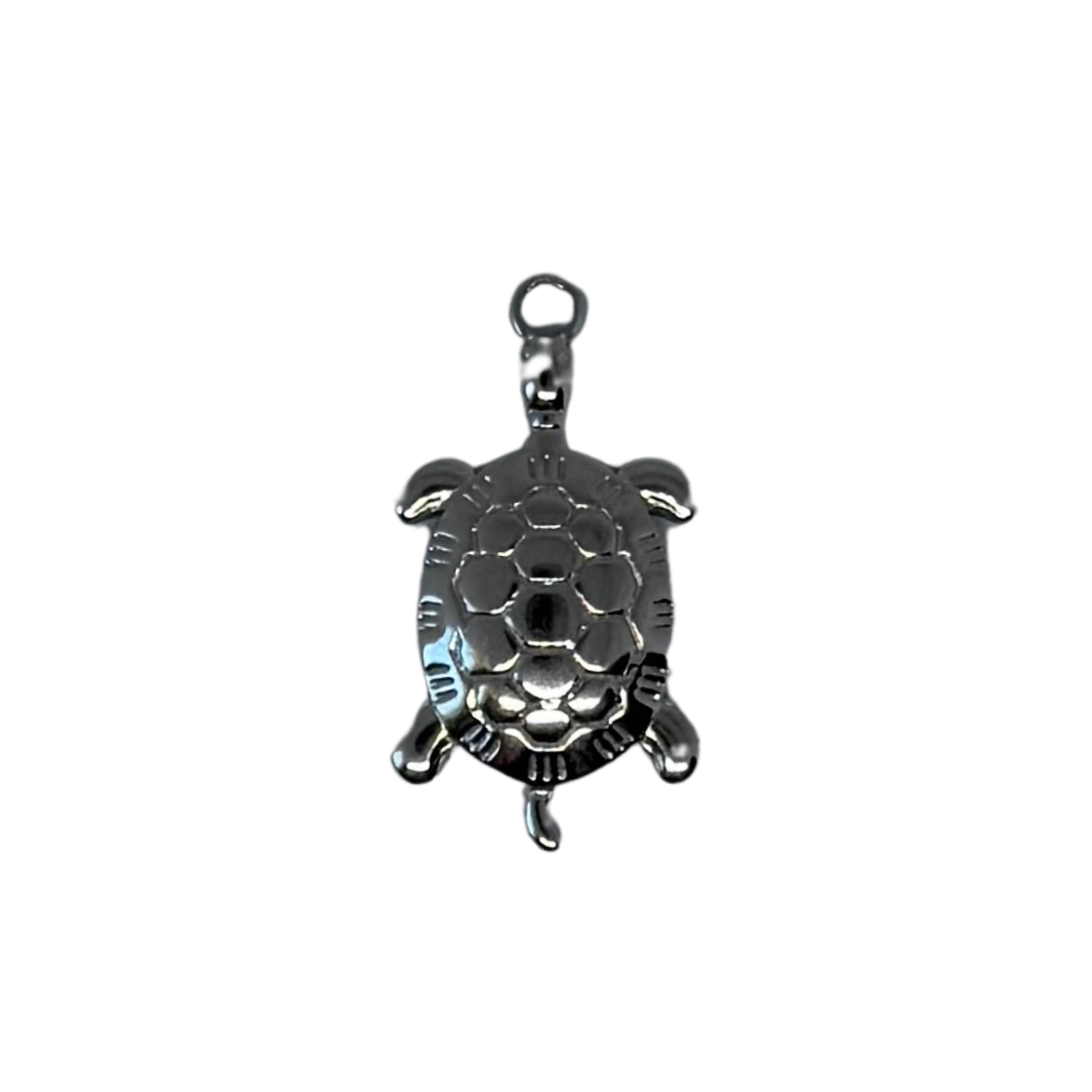 Charm tortue