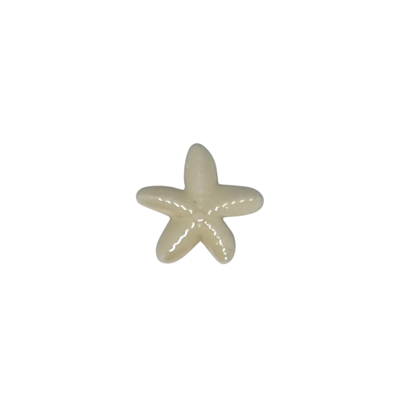 Charm étoile de mer
