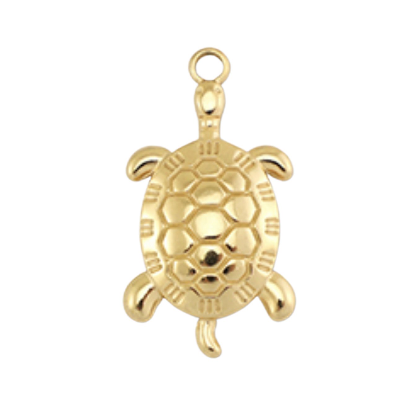 Charm tortue