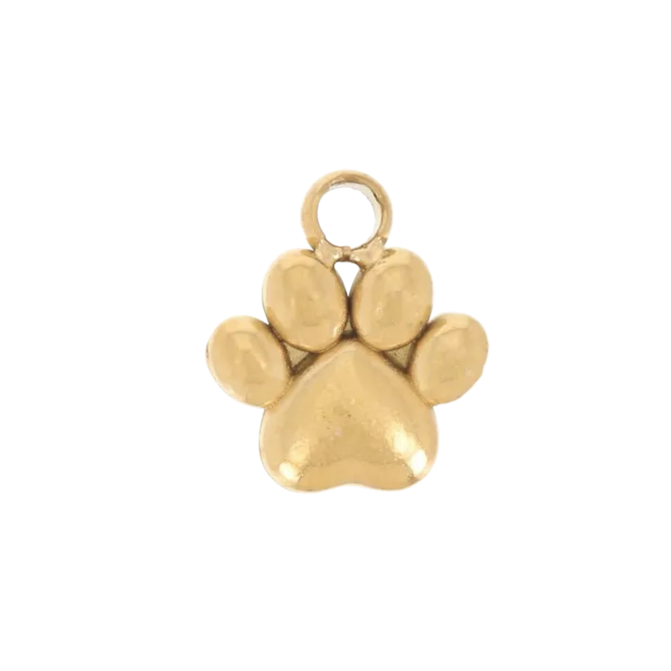 Charm patte de chien