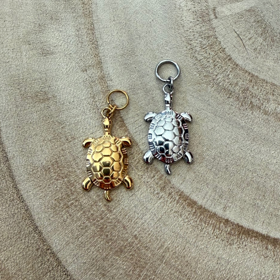 Charm tortue