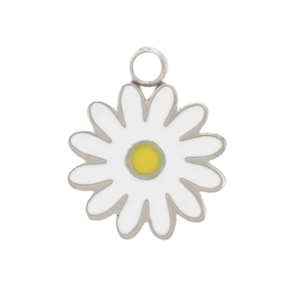 Charm marguerite