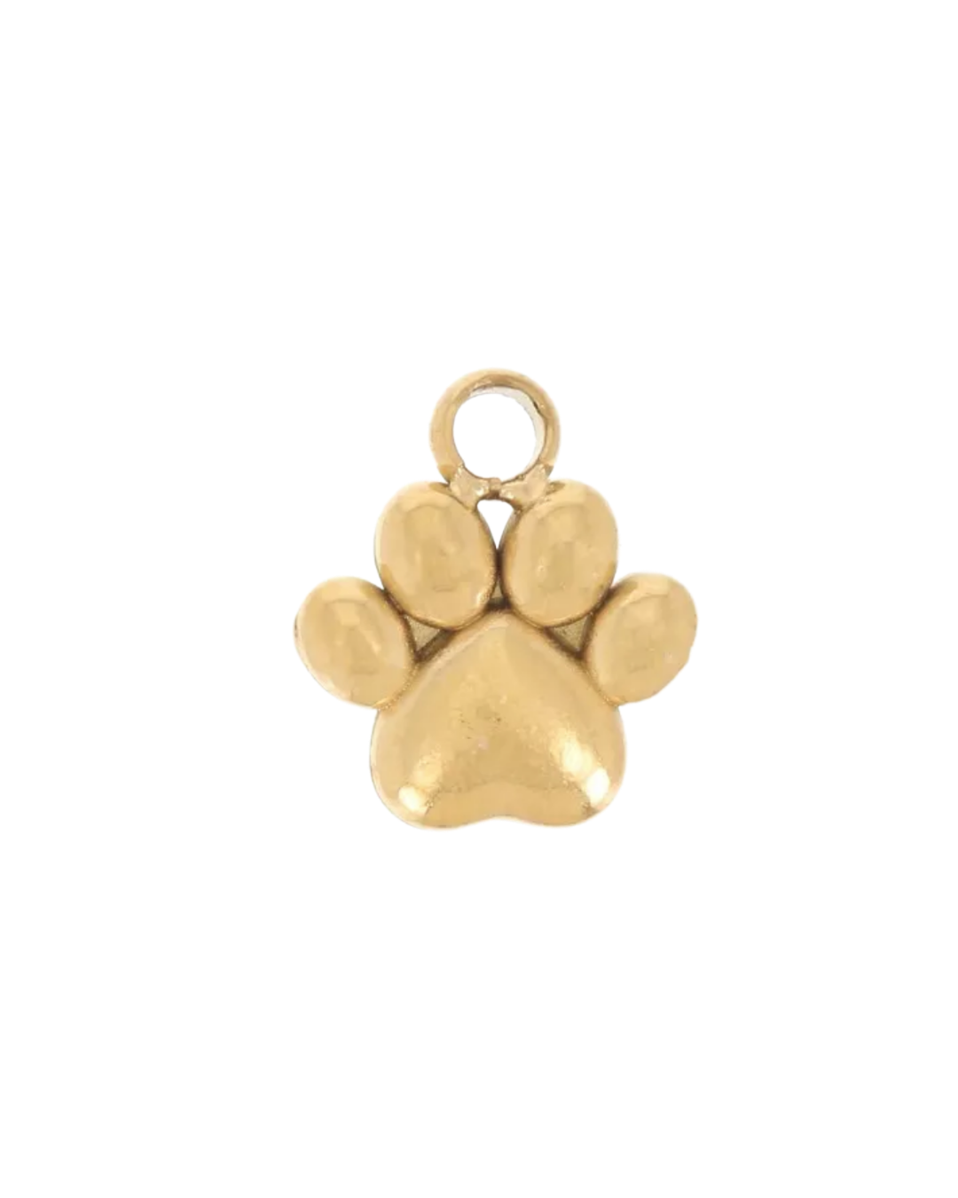 Charm patte de chien