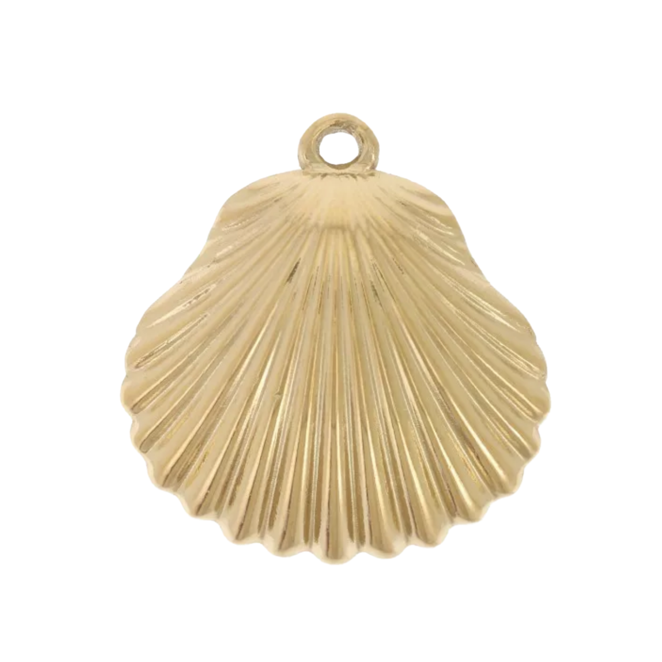 Charm coquille